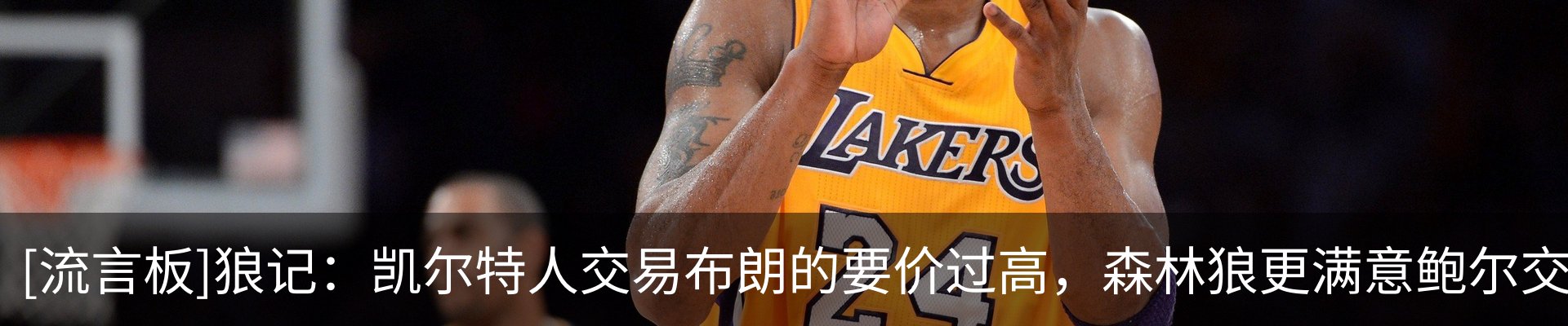 最新动态